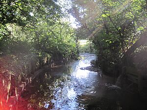 Dollis Brook in Brook Farm open space