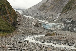 Fox Glacier Facts For Kids