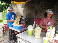 Es Air Tebu (Sugarcane juice) seller