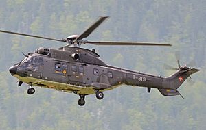 Eurocopter AS332M-1 Super Puma ‘T-319’.jpg