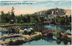 Fairmount park vintage postcard 1