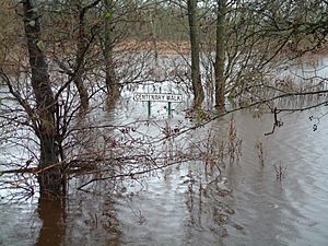 Floods at lower Bridge of Allan, December 15th 2006
