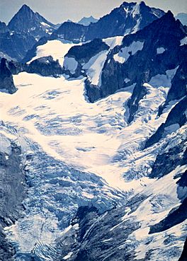 Forbidden Glacier 1992.jpeg
