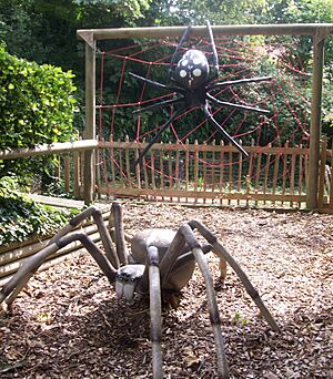 Giant Bug Walk spiders