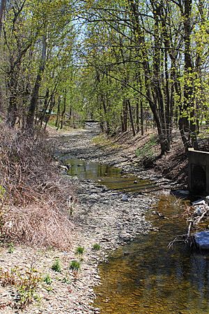 Glade Run looking upstream