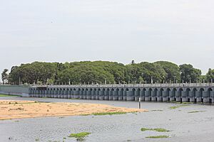 Grand Anicut kallanai