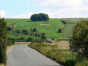 Hackpen White Horse, near Broad Hinton - geograph.org.uk - 552493