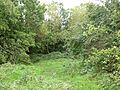 Humberstone Park LNR 2