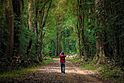 Isabela City Forest Park.jpg