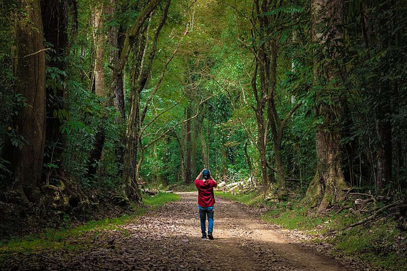 Isabela City Forest Park