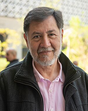 José Gerardo Rodolfo Fernández Noroña.jpg