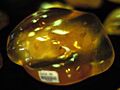 Kauri gum nz amber