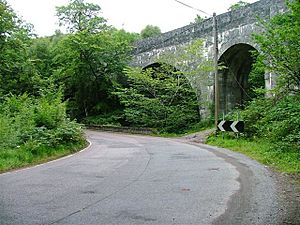 Larichmore Viaduct and the A830 - geograph.org.uk - 37338