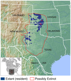 map of lesser prairie chicken distribution in south central United States