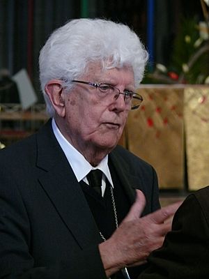 Jacques Noyer Facts for Kids