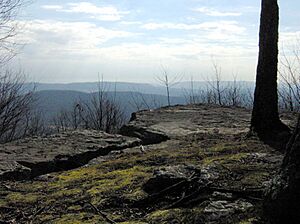 Lone-mountain-coyote-point-tn1