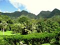 Lyon Arboretum, Oahu, Hawaii - general view