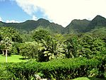 Lyon Arboretum, Oahu, Hawaii - general view.jpg