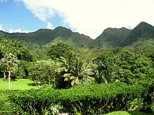 Lyon Arboretum, Oahu, Hawaii - general view