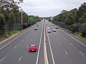M5 Motorway Sydney Riverwood 04