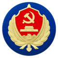 MSS globe logo