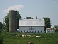 Main barn and silo at the McDonald Farm