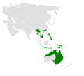 Mirafra javanica distribution map