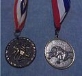 Moe Epsilon's medals