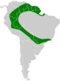 Molossops neglectus map