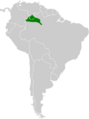 Myrmotherula ambigua map