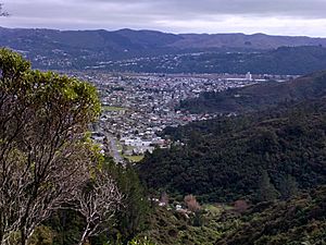 Naenae, Lower Hutt 5011, New Zealand - panoramio (2).jpg