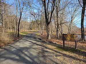 Nye Holman State Forest, Tolland CT