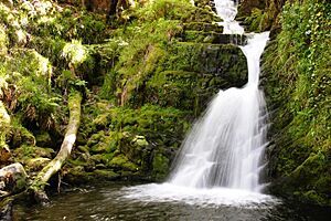 O'Sullivan's Cascade