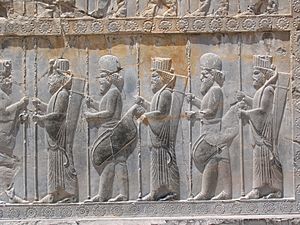 Persepolis carvings