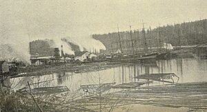 Port Ludlow sawmill - 1900
