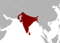 Python molurus Area