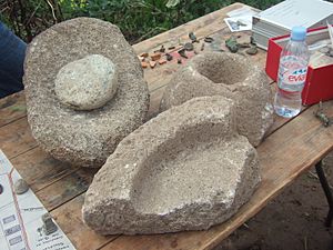 Quernstones found in Warburton