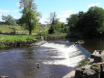 River Mulkear Weir, Annacotty - geograph.org.uk - 1175933.jpg