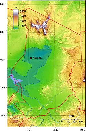 Sahelanthropus tchadensis - TM 266 location