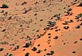 Sand dune in the Kalahari Desert (Namibia)