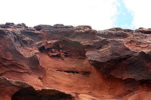 Sandstone cliffs -Bahia - Brazil-17Dec2007