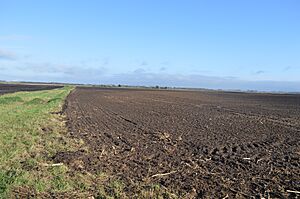 Shippea Hill SSSI 1
