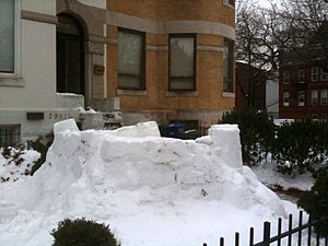 Snow Fort 2009