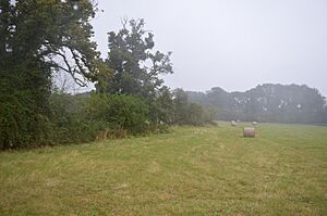Southorpe Meadow 4