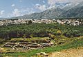 Sparti in-river-Eurotas-valley flanked-by-Taygetos-mountains