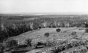 StateLibQld 2 198963 Panoramic views from Buderim to Mooloolaba Beach, 1934