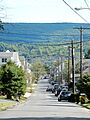 Swatara Rd, Shenandoah Heights PA 01