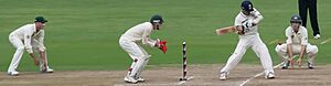 Tendulkar goes to 14,000 Test runs