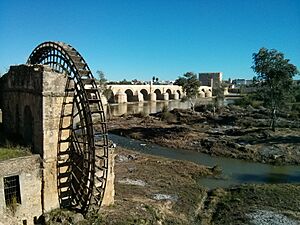 The Albolafia Water Mill (10823918983)