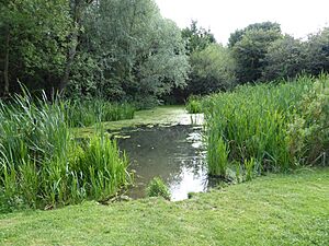 The Dales Open Space 6